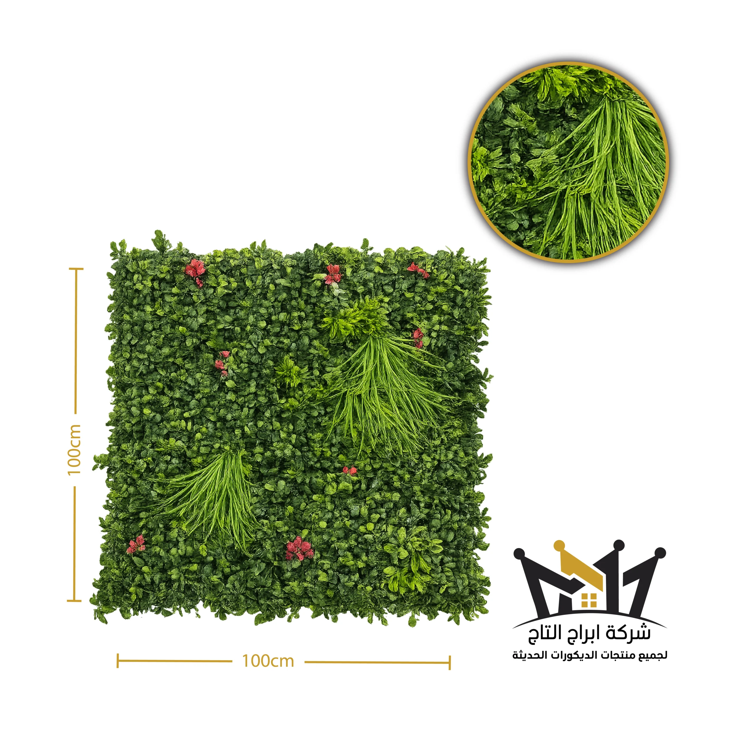 عشب Raspberry 3D جداري 18176R