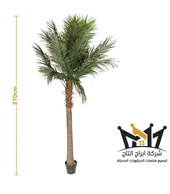 ODP-FM0011